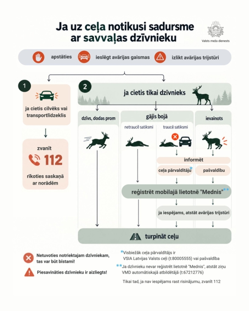 Dzīvnieki uz ceļa