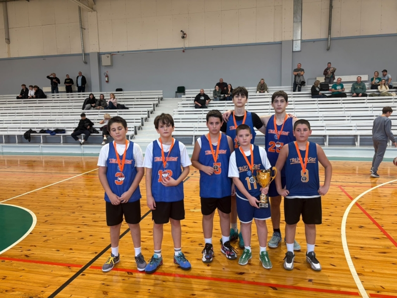 Basketbola čempionāts