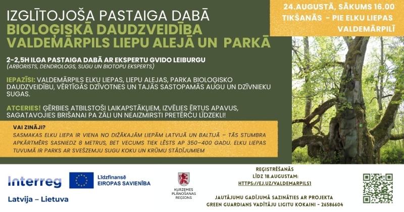 Izglītojoša pastaiga Valdemārpils Elku liepas teritorijā