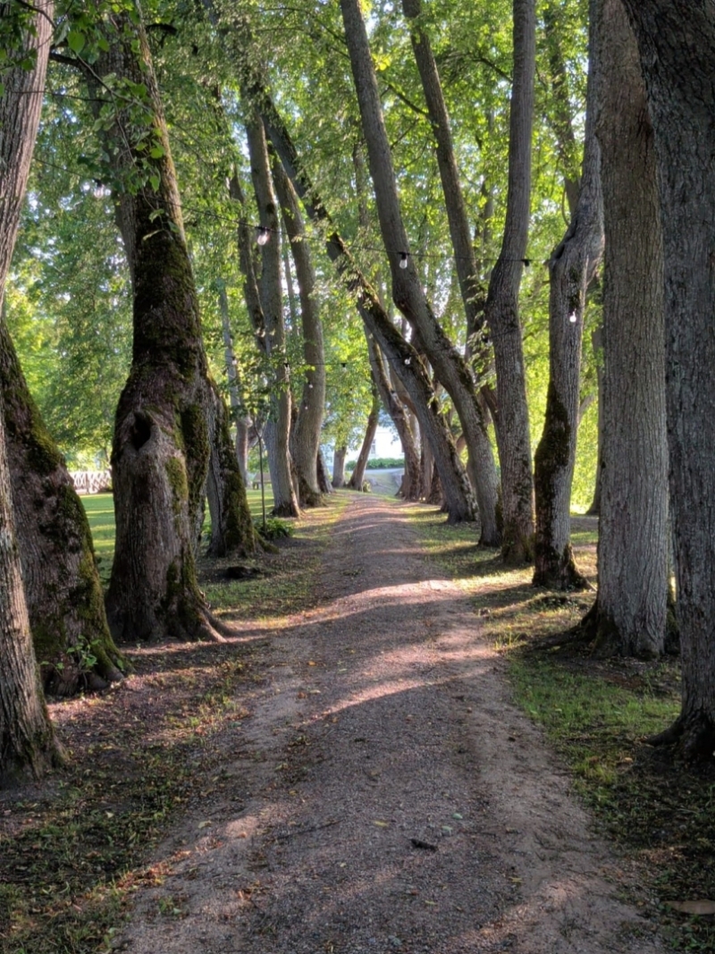 Kalna dārzs taciņa
