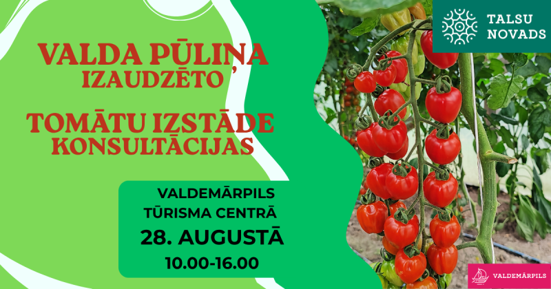 Valda Pūliņa izaudzēto tomātu izstāde