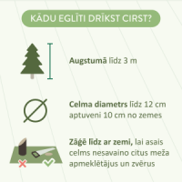 attēls