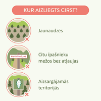 attēls
