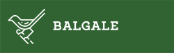 Balgales logo
