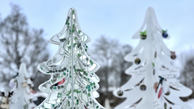 Ziemassvētku eglīšu parks Talsu ezera promenādē