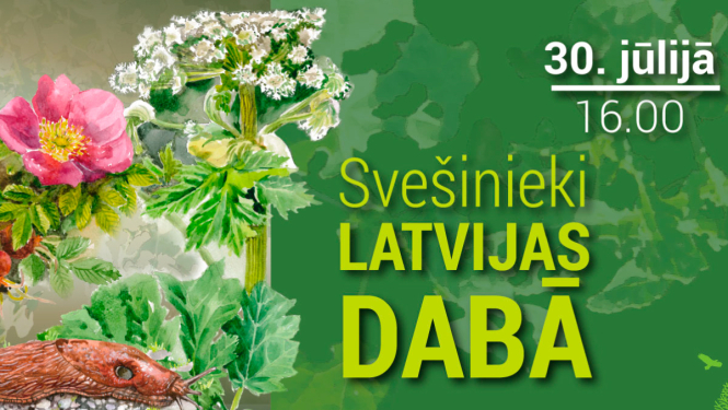 Informatīvā pasākumā Valdemārpilī izglītos par invazīvajām augu sugām un Spānijas kailgliemezi