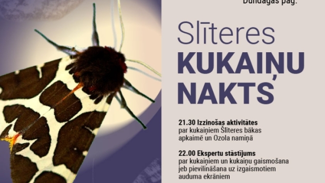Slīteres kukaiņu nakts