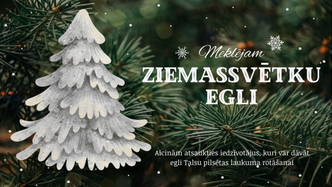 Iedzīvotāj, dāvini Talsiem Ziemassvētku egli!