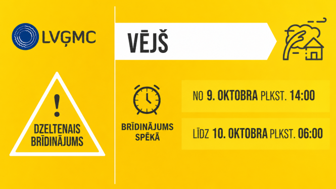 vejs