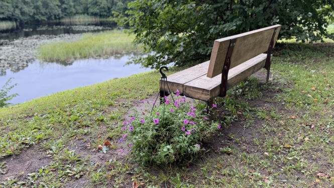 Kalna dārzs soliņš