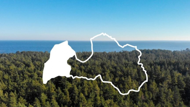 Kurzeme
