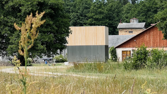 Pitraga pietura