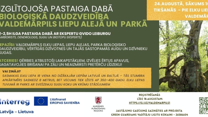 Izglītojoša pastaiga Valdemārpils Elku liepas teritorijā