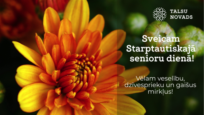 Senioru diena