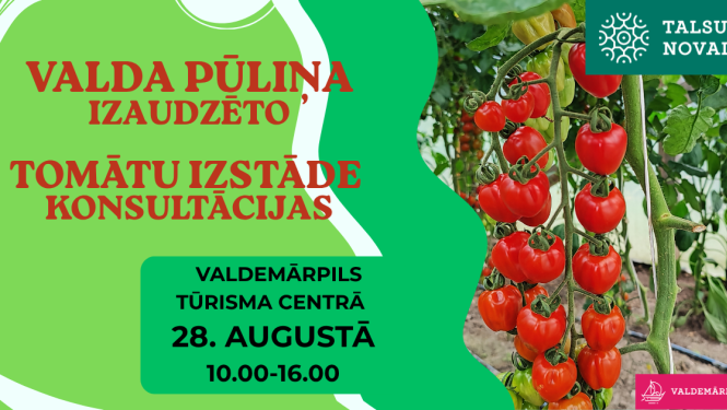 Valda Pūliņa izaudzēto tomātu izstāde