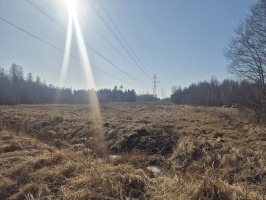„Dzītari”