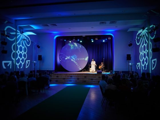 Muzikāls priekšnesums (30)