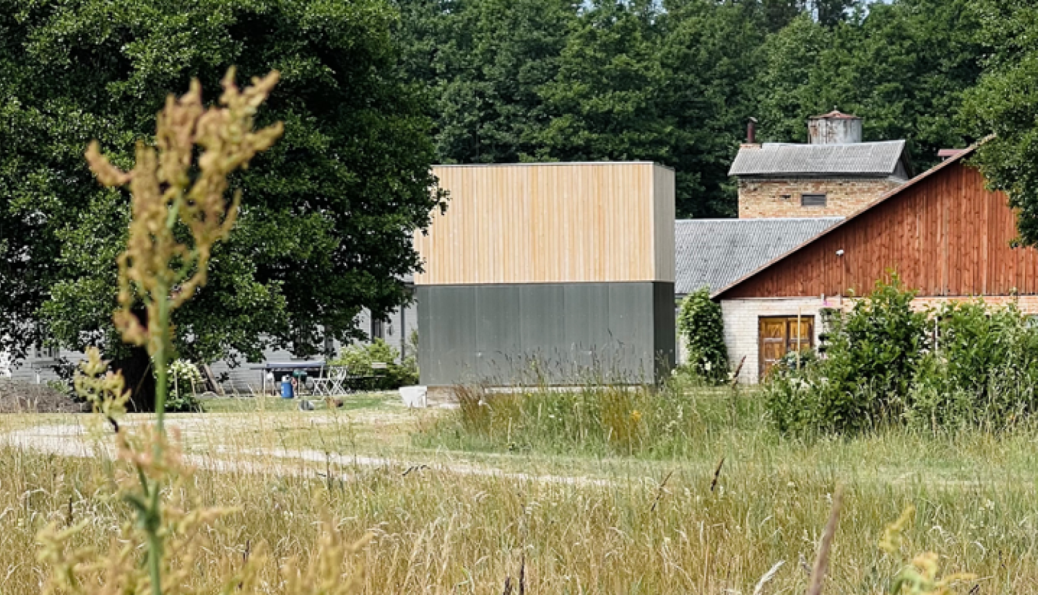 Pitraga pietura