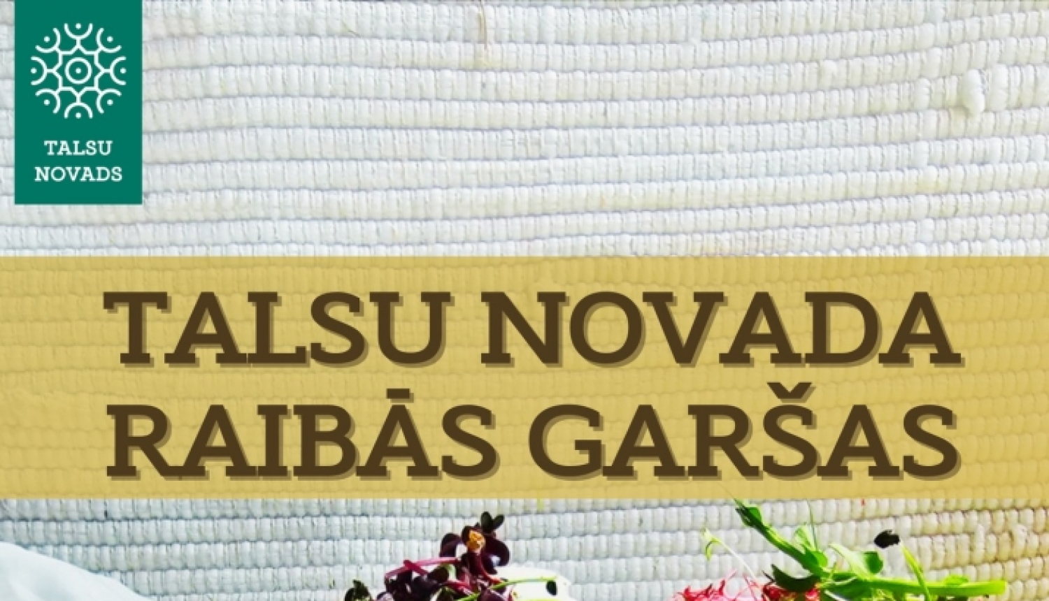 Mājas kafejnīcu dienas Talsu novadā
