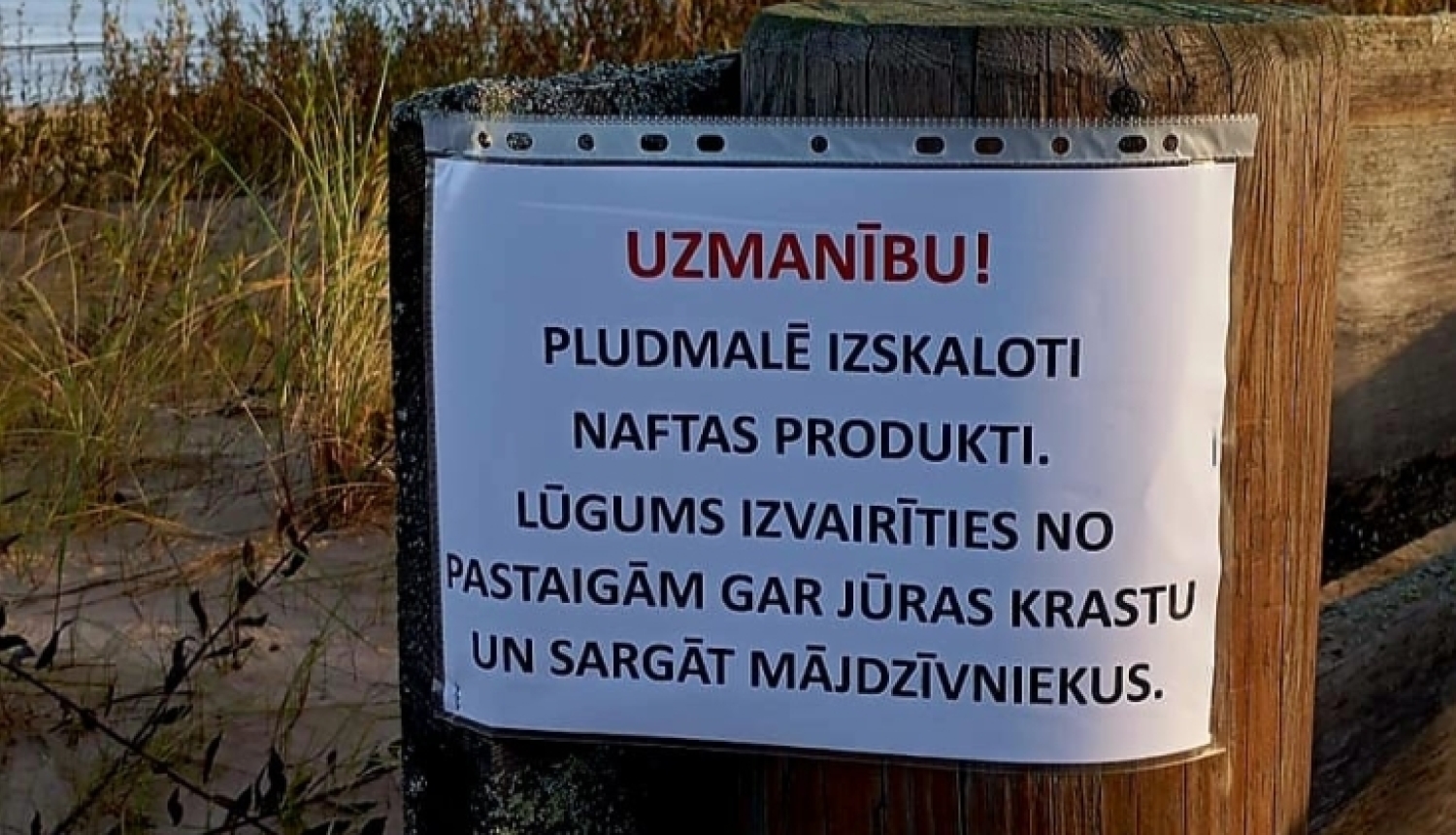 piesārņojums