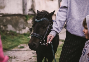 Talsu pilsētas svētki 2024
