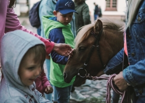 Talsu pilsētas svētki 2024