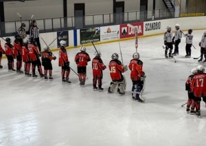 Hokejs U13 grupai