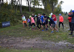 Talsu jūdze