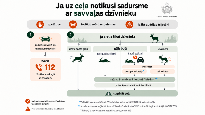 Dzīvnieki uz ceļa