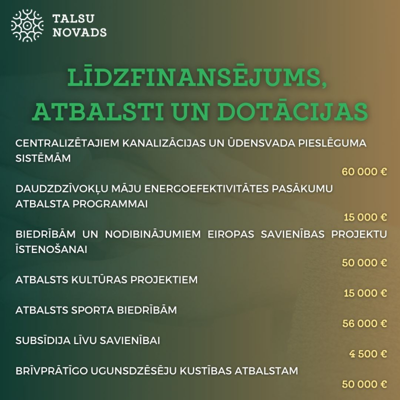 līdzfinansējums