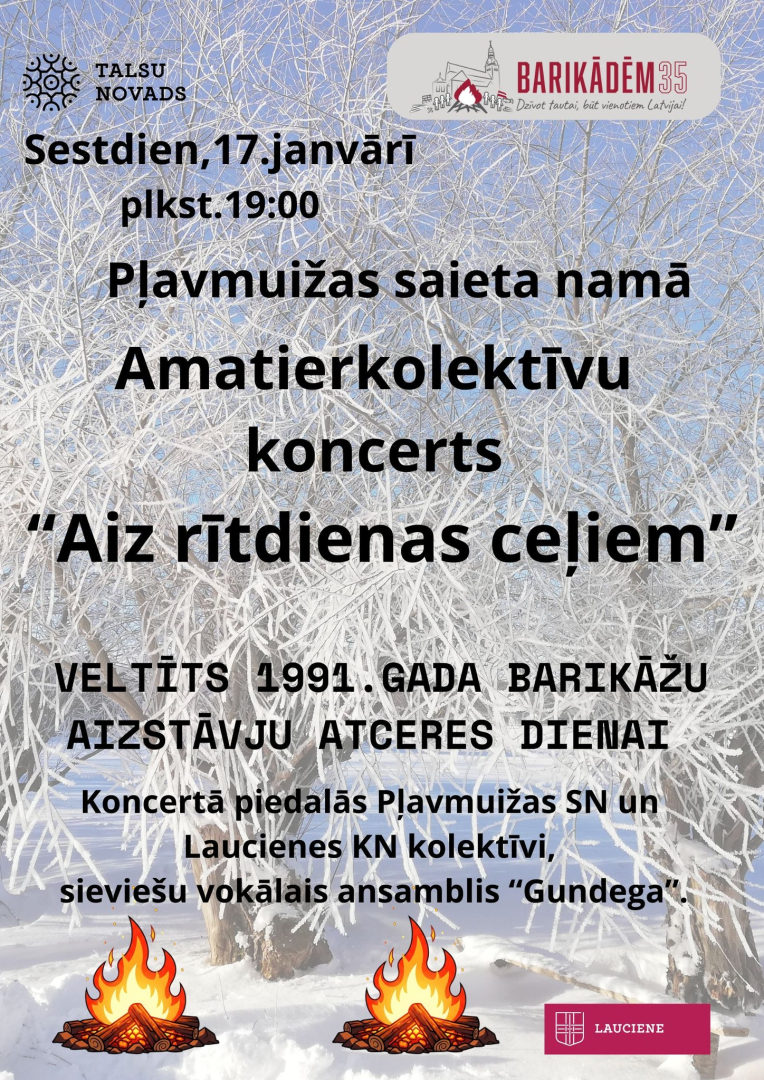 Barikāžu atceres pasākuma Pļavmuižā afiša