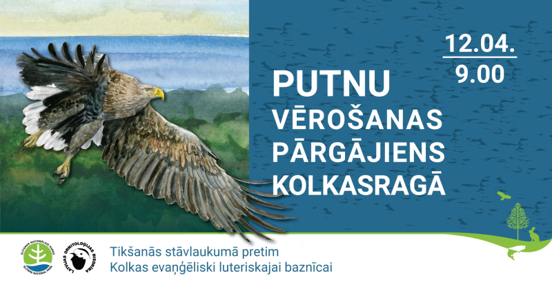 Putnu vērošanas pārgājiena Kolkasragā afiša