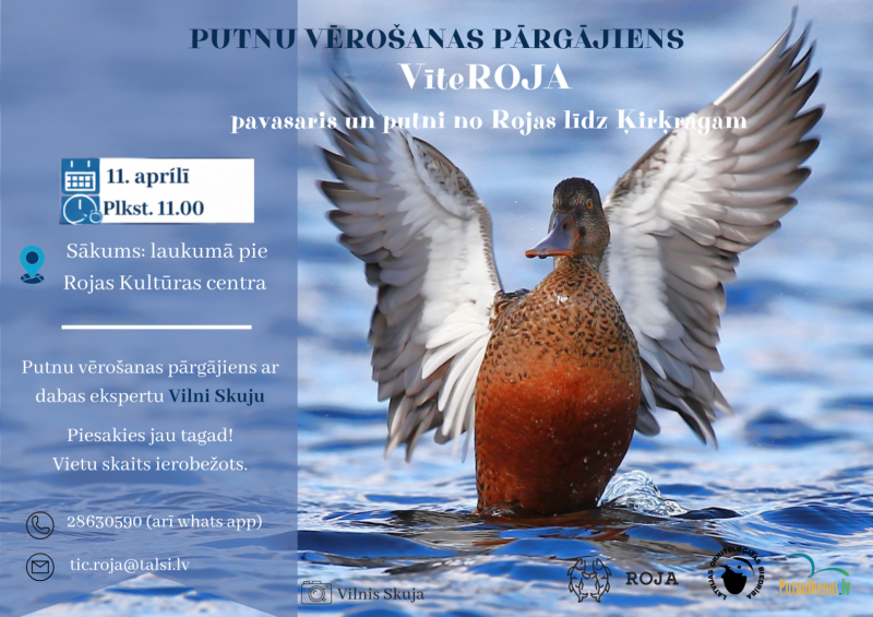 Putnu vērošanas pārgājiena Rojā afiša