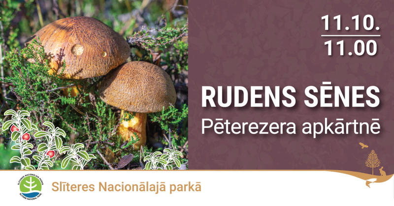 Rudens sēņu ekspedīcijas afiša