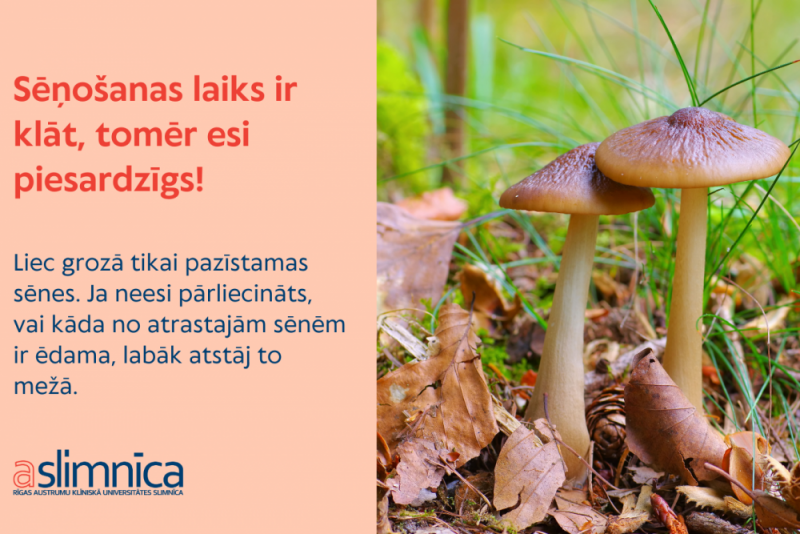 Aicina iedzīvotājus būt piesardzīgiem ar sēņu lasīšanu un lietošanu uzturā