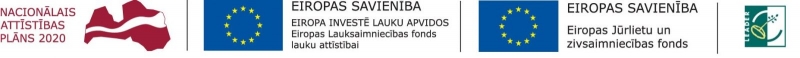 Logo ansamblis