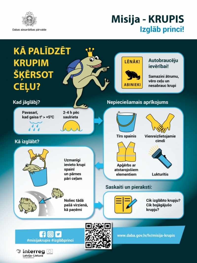 infografika