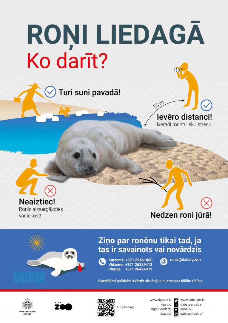 Infografika par roņiem liedagā