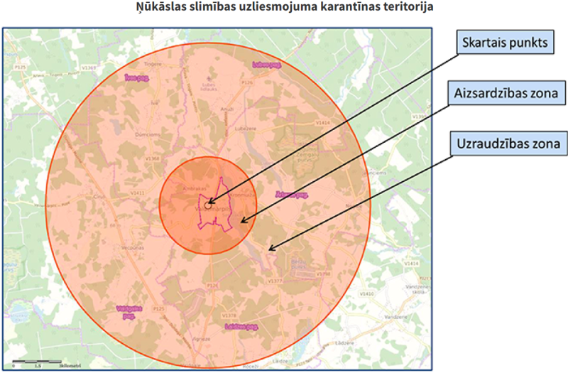 karantīna, Ņūkāslas