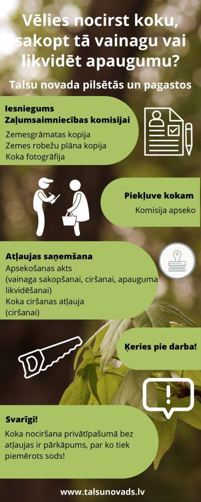 Infografika