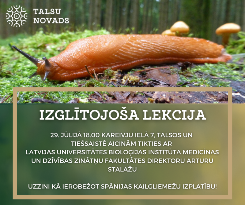 lekcija-kailgliemeži