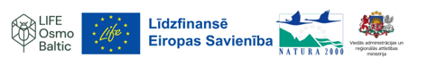 logo kopa