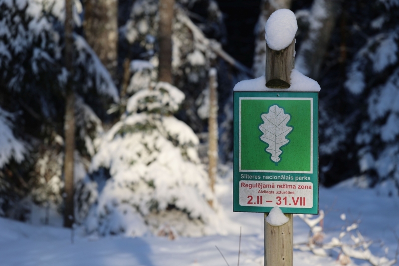 Informatīvā zīme par sezonālu ierobežojumu Bažu purva apmeklēšanai. Foto: Kristaps Vilks.