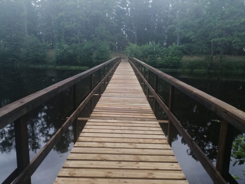 Atjauno Zēņu dīķa laipu