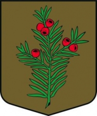 Ive-1-251x300.jpg