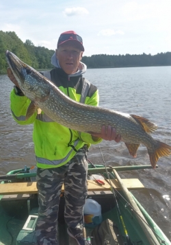 110 cm līdaka