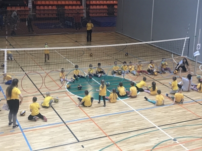 Sporta diena