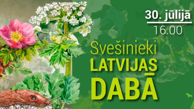 Informatīvā pasākumā Valdemārpilī izglītos par invazīvajām augu sugām un Spānijas kailgliemezi