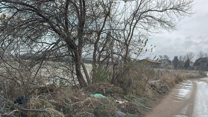 Dārziņu teritorija nesakopta