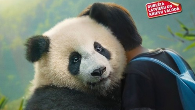 Kino afiša filmai Zēns un panda